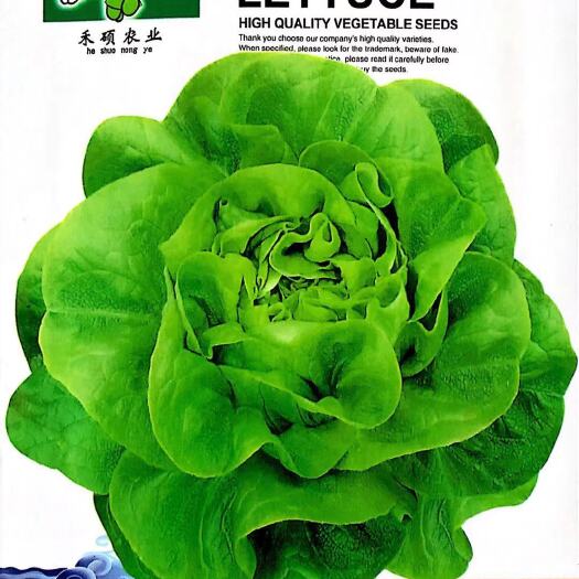 沭阳县 奶油生菜种子意大利生菜四季播种生菜籽阳台庭院盆栽种植蔬菜种子