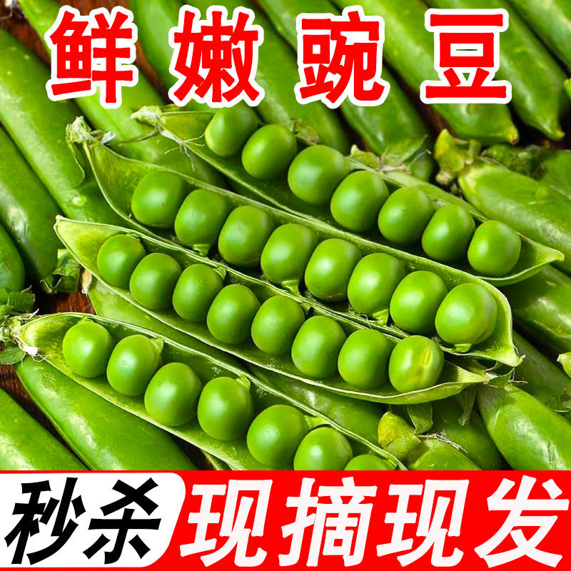  新鲜豌豆云南蔬菜带壳豌豆荚青豌豆夹现摘水果甜豌豆