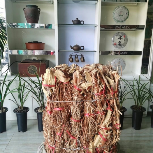广南县 五指毛桃