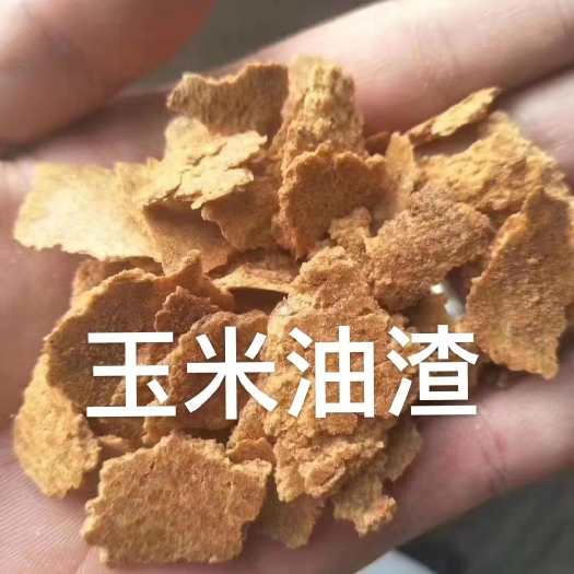 正定县玉米油渣饼