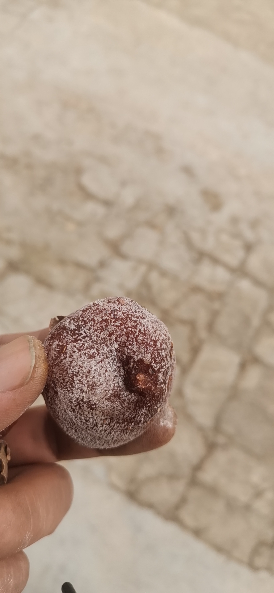 柿饼