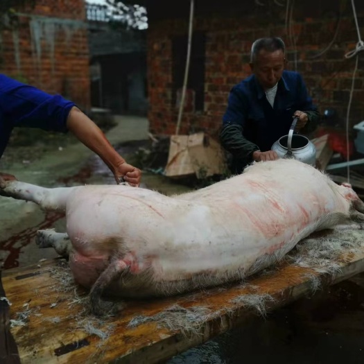 宜春 新鲜烟熏腊肉，宜春特产，年货