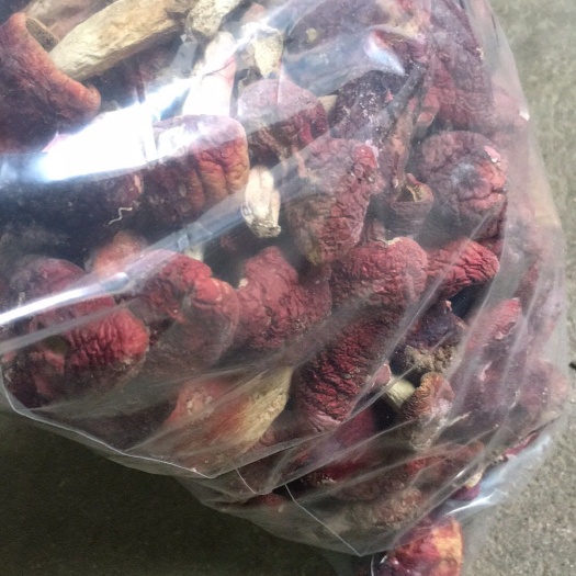 建瓯市 野生红菇