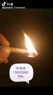 菏泽 生物质颗粒燃料！厂家直销，适用于各种锅炉，燃烧机，链排炉，