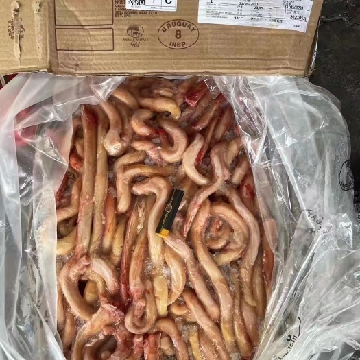 阳信县乌拉圭8厂牛鞭，手续齐全，精修无鞭根，正关货，诚信经营
