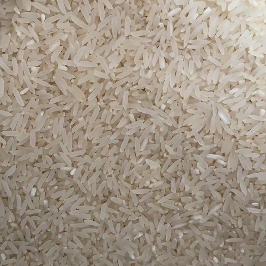 平南县丝苗米 广西壮族自治区贵港市平南县 粳米 一等品 晚稻 