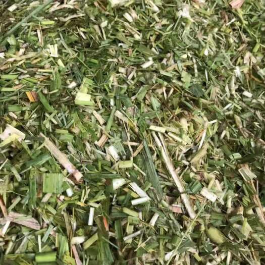 来宾蔗尾青贮  牛羊草枓，大量甘蔗尾青储，玉米杆青储，小麦桔杆等