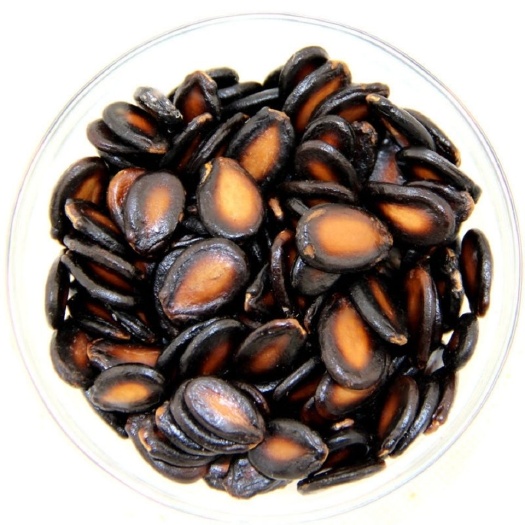 五香湿西瓜子水煮酱焖湿西瓜子休闲喝茶湿瓜子批发