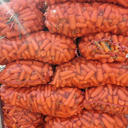 开封新鲜次品胡萝卜养殖用，次品加工厂胡萝卜，量大优惠，全年供应