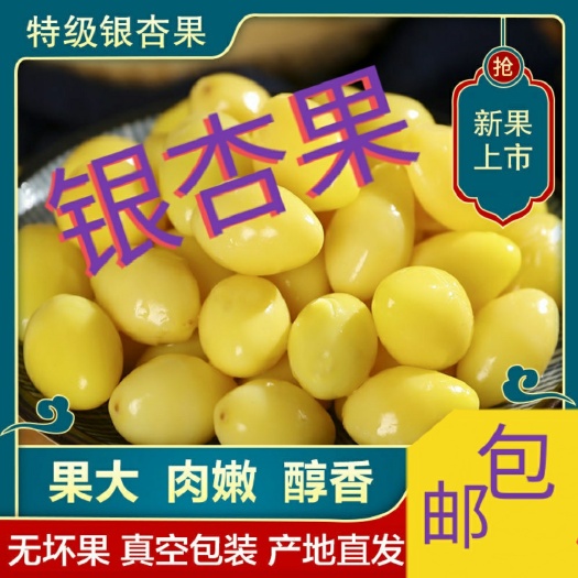 银杏果新鲜白果仁去壳真空保鲜包装邳州特产包邮