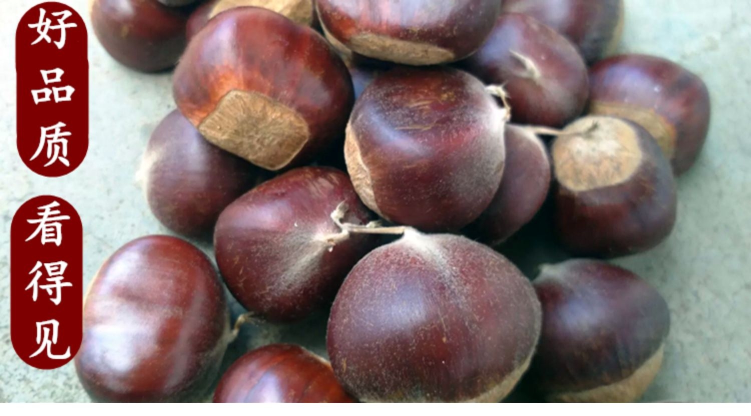  板栗生新鲜2021现摘沂蒙山老树农家毛栗子小甜油板栗