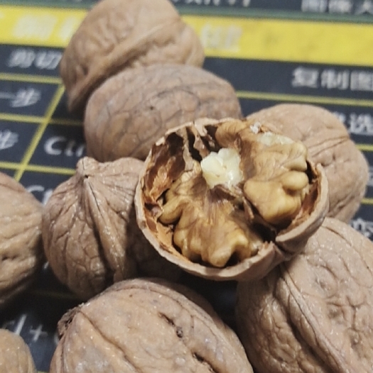 卫辉市 出售核桃通货
