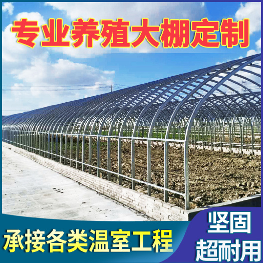 沭阳县大棚管 大棚钢管骨架养殖大棚配件农业温室大棚蔬菜种植小型保暖家用全套