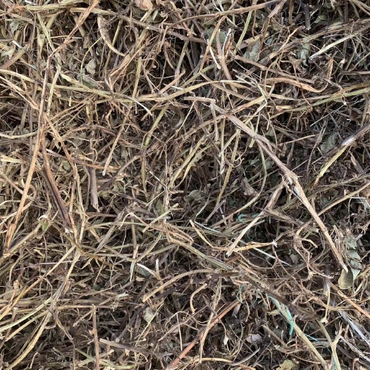 郏县秸秆饲料 花生秧