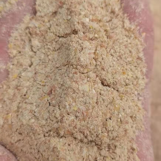 石家庄东北烘干玉米淀粉面
