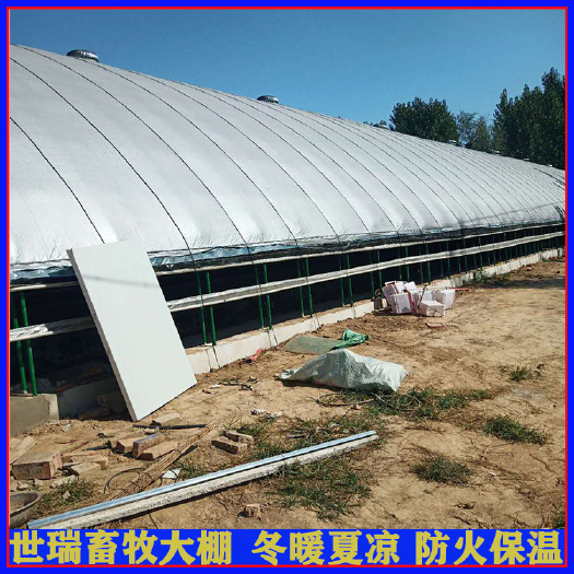宁津县养殖大棚 养鸭大棚建设 肉鸭养殖棚搭建 鸭舍大棚施工建造宁津县世瑞畜牧