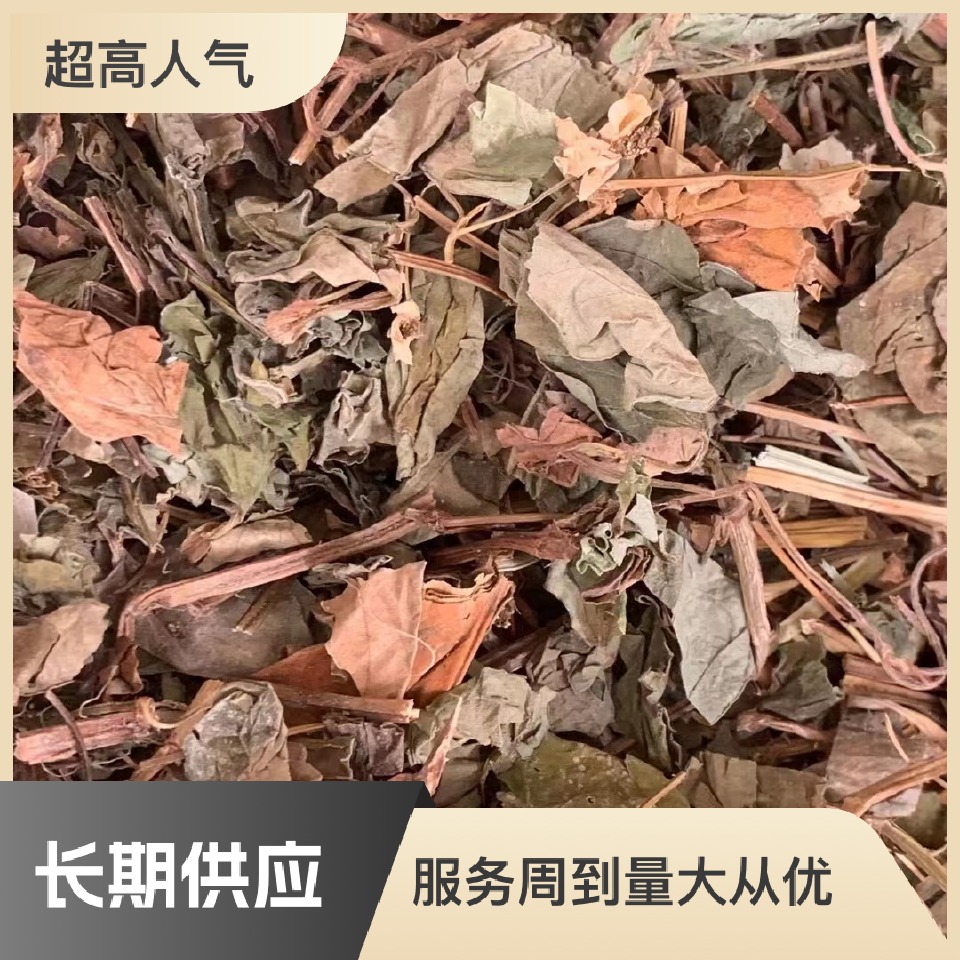 长期供应{鱼腥草}可批量可零售量大从优【包邮】