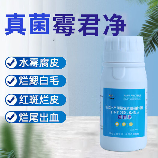 武陟县饲料鱼 霉君净鱼身上长白毛水霉病腐皮烂鳃怎么办 中际联盟水产