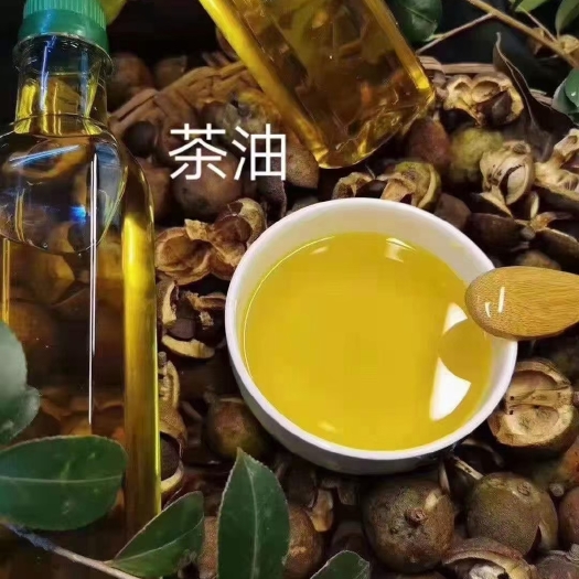 南雄市山茶油 天然的茶籽油