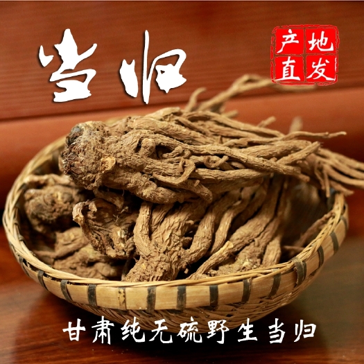 陇西县岷当归   甘肃无硫当归个头500g包邮产地直发泡水泡酒医用