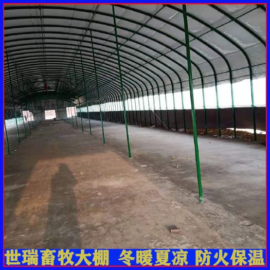 宁津县养殖大棚 养鸡场鸡棚施工建设 肉鸡保温大棚搭建 鸡舍大棚施工安装