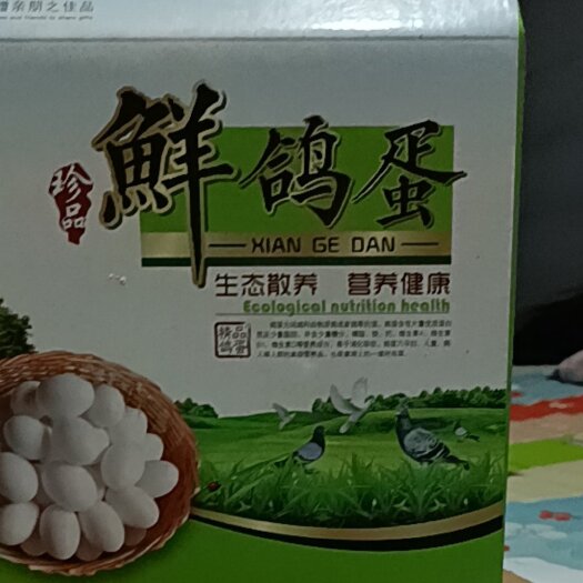 武强县鸽子蛋，营养美味，老少皆宜，部分地区包邮，新鲜，现捡现发！