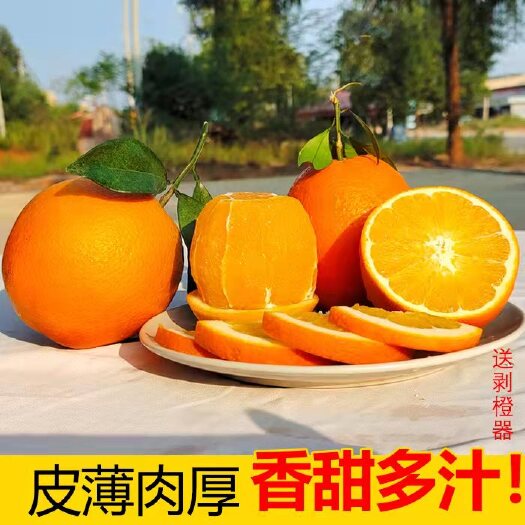 宁远县 坏果包赔 纽荷尔脐橙