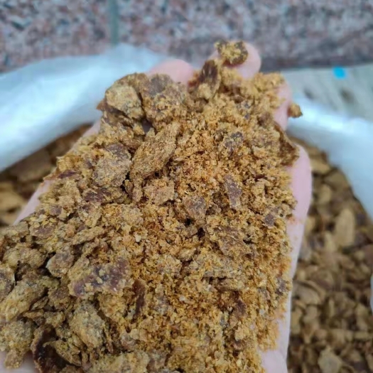石家庄 玉米胚芽饼