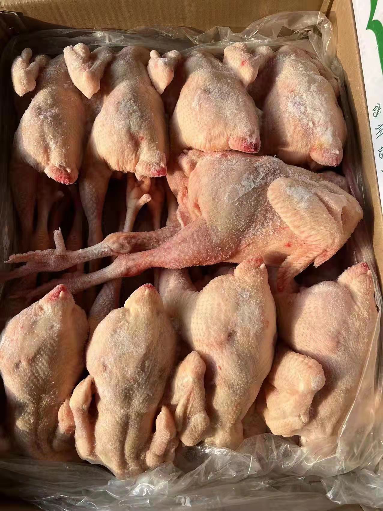 白条鸡 三黄鸡熟食纯干 纯干