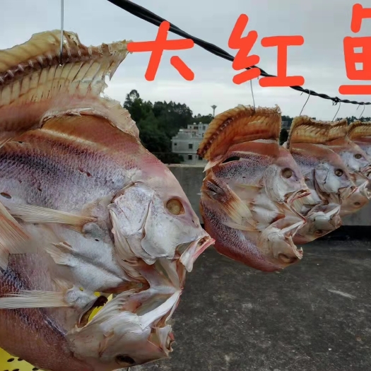 遂溪县鳝鱼干 红鱼干