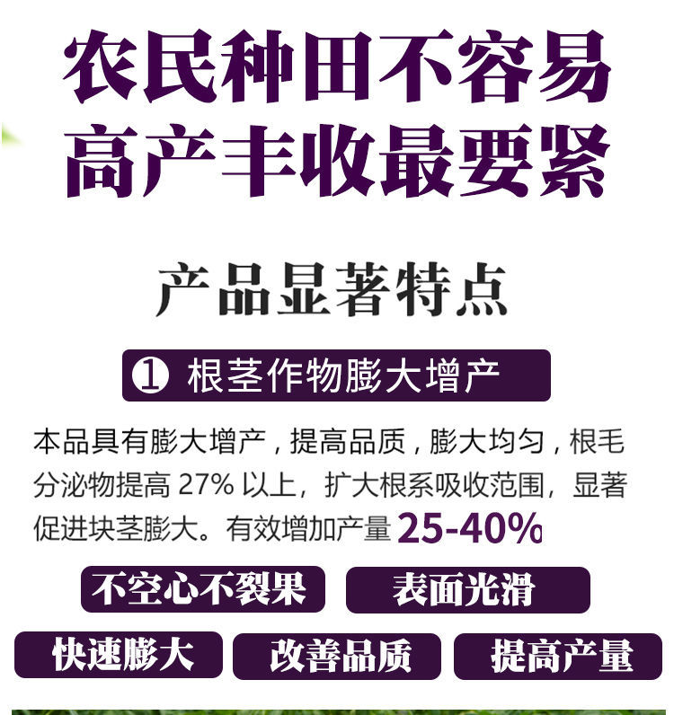 氯胆萘乙酸地下作物膨大素根茎膨大剂快速膨大控上促下猛长调节剂