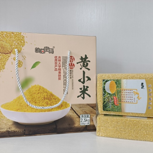 长春通榆县粮芯密码黄小米