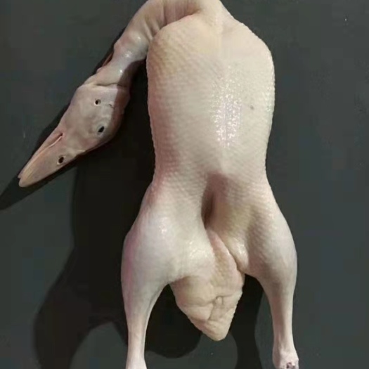 沂南县 厂家直销各种规格一级二级白条鸭，鸭副产品！