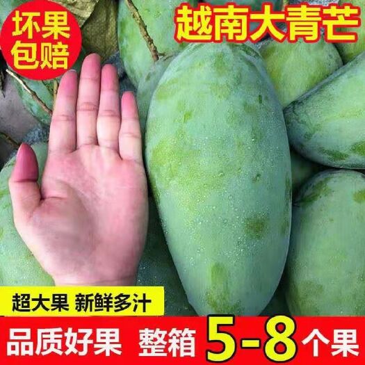 南宁【一级果】越南大青芒水果芒果非金煌芒凯特芒 一件代发 10斤