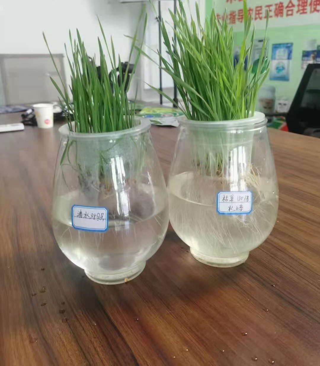  400亿活菌枯草芽孢杆菌