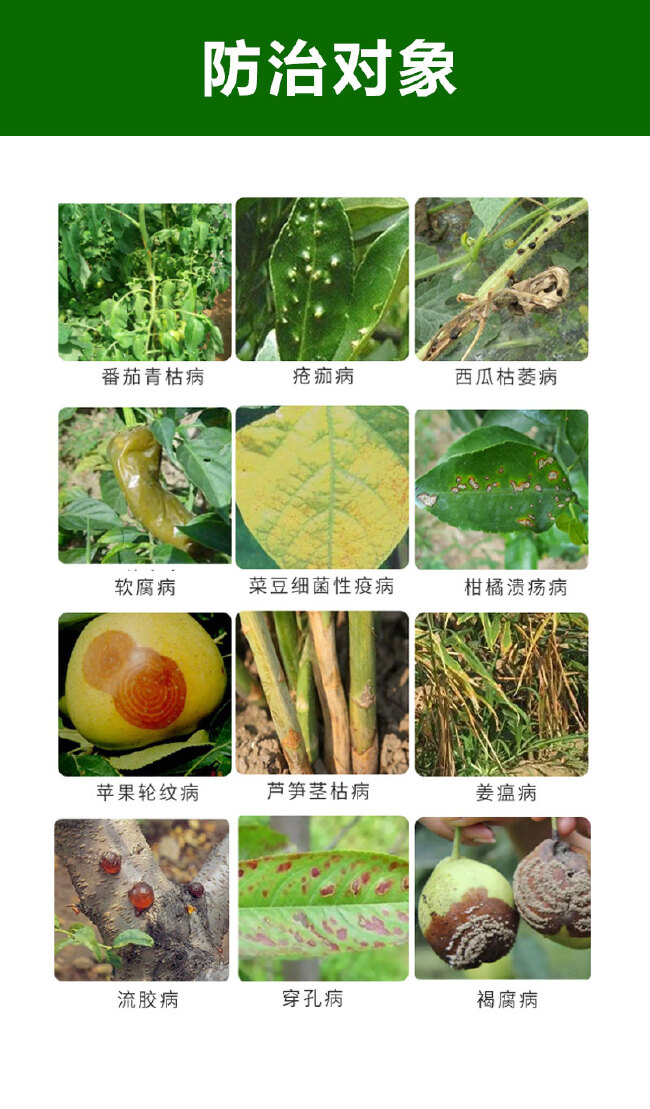 细星 中生菌素 细菌性病害青枯病溃疡病防治果树蔬菜大田作物