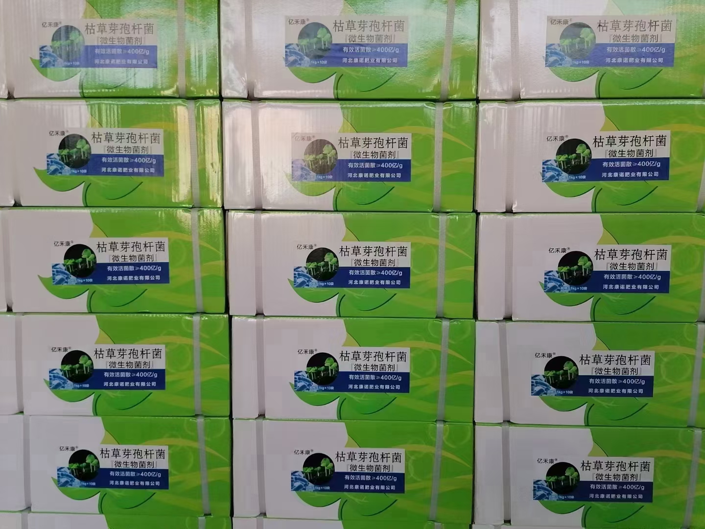  400亿活菌枯草芽孢杆菌