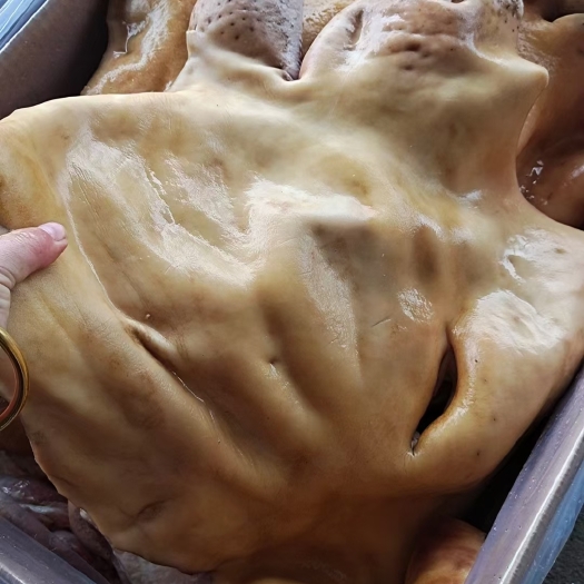 阳信县牛头