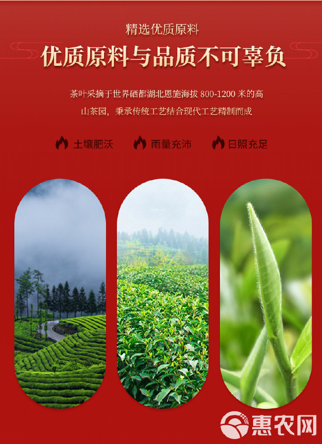  恩施富硒茶硒茶红茶恩施红茶利川红高山硒红茶恩施野红茶