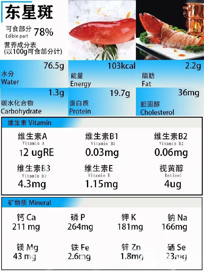 深海名贵鱼东星斑-西沙东星斑批发-冷冻东星斑直销