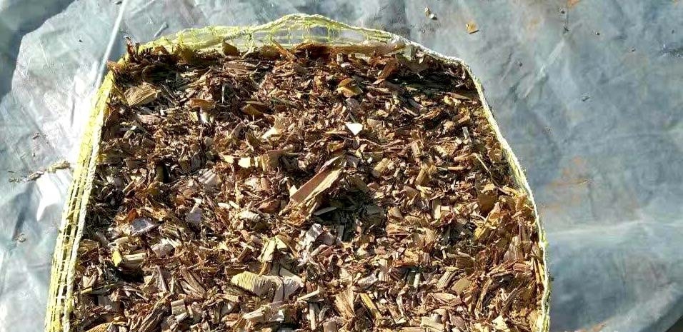卢龙县 玉米秸秆