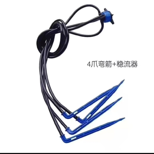 鄄城县盆栽花卉滴箭
