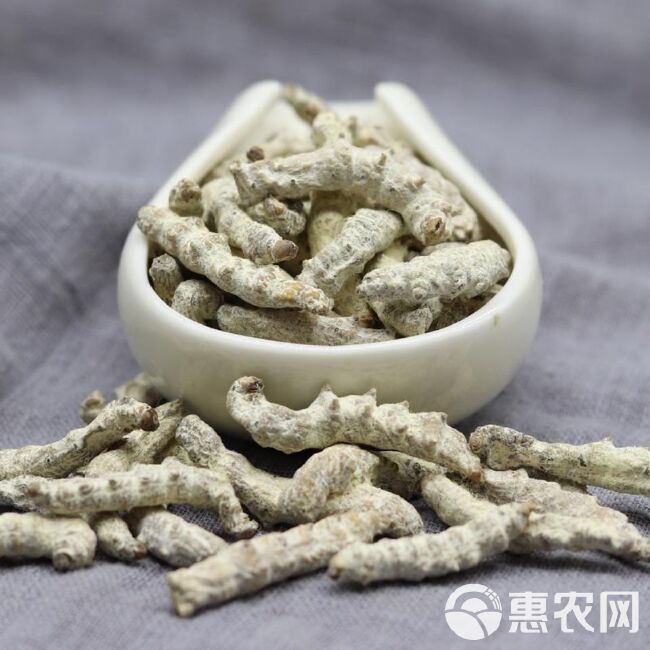 【多仓发货】中药材白僵蚕 白僵虫  当天发货 