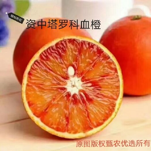 塔罗科血橙  资中血橙塔罗科早熟血橙2~3号预售开始