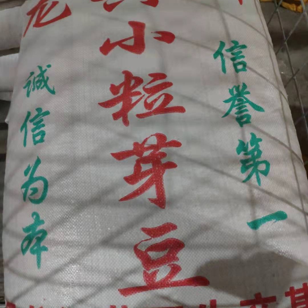 黄芽豆 芽豆 中粒  东北中粒芽豆 黄豆芽菜豆  生豆芽芽苗