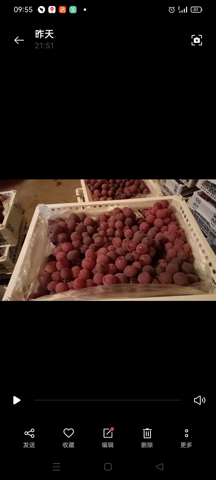  大美新疆井水灌溉的优质红提葡萄，色泽鲜美，口感纯正。