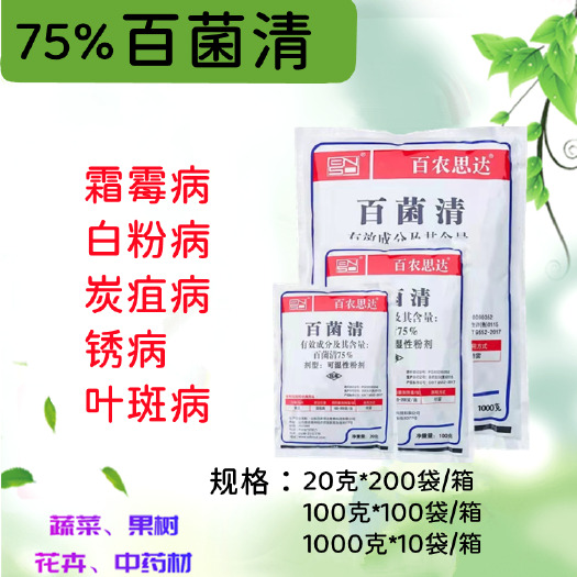 75%百菌清霜霉病白粉病叶斑病，早疫病，果树蔬菜大田