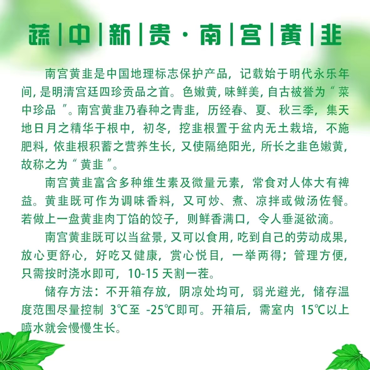 景观盆栽 黄韭盆景，南宫特产，浇水就长黄韭，随吃随割，好吃好