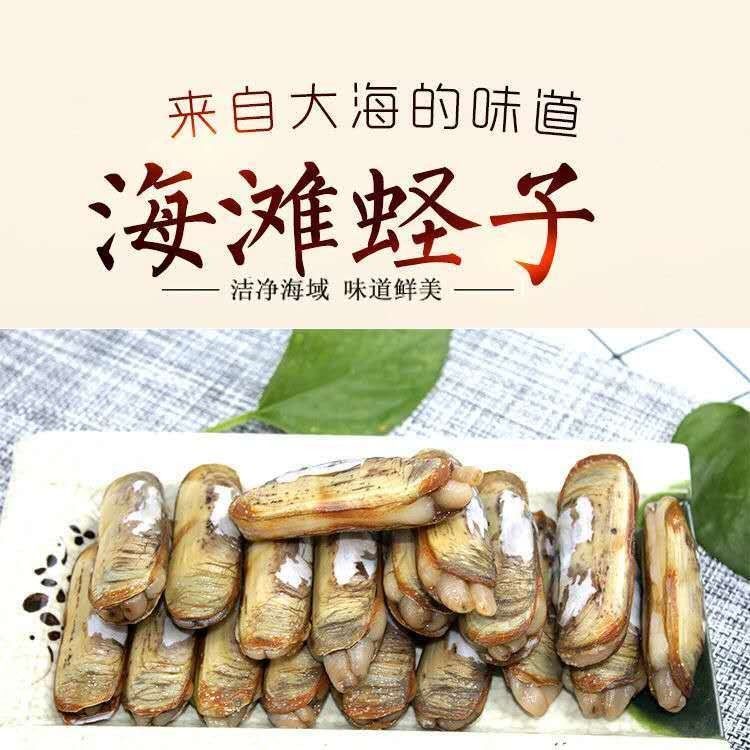 鲜活蛏子蛏王海蛏子新鲜海鲜大蛏子竹节蛏笔杆蛏海蛏