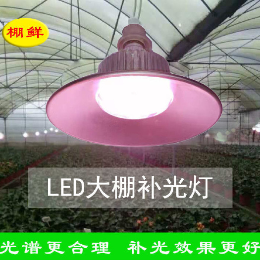 石家庄补光灯 棚鲜牌全光谱LED36W植物生长灯大棚蔬菜阳台种植红蓝光补光